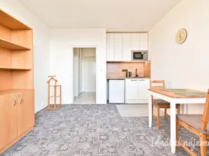 Pronájem bytu 1+kk, Brno, Halasovo náměstí, 23 m2