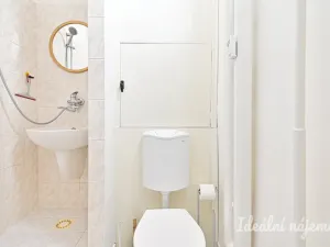 Pronájem bytu 1+kk, Brno, Halasovo náměstí, 23 m2