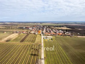 Prodej rodinného domu, Prušánky, Nechory, 145 m2