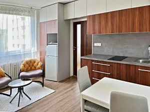 Pronájem bytu 1+1, Brno, Herčíkova, 34 m2