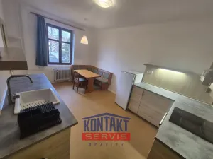 Pronájem bytu 1+1, České Budějovice, Čechova, 38 m2