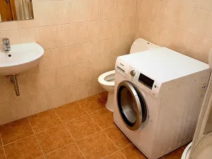 Pronájem bytu 2+kk, Brno, Štefánikova, 61 m2