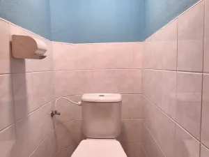 Pronájem bytu 2+1, Strakonice - Strakonice I, P. Bezruče, 54 m2