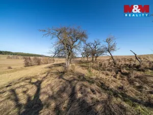 Prodej pozemku, Olbramov - Zádub, 4189 m2