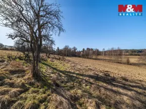 Prodej pozemku, Olbramov - Zádub, 4189 m2