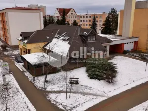 Pronájem obchodního prostoru, Vyškov - Brňany, Palánek, 252 m2