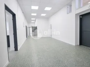 Pronájem obchodního prostoru, Vyškov - Brňany, Palánek, 252 m2