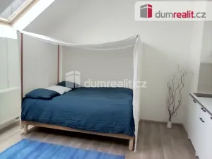 Pronájem bytu 1+kk, Praha - Dejvice, Stavitelská, 25 m2