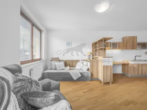 Prodej bytu 1+kk, Praha - Podolí, Dvorecká, 34 m2