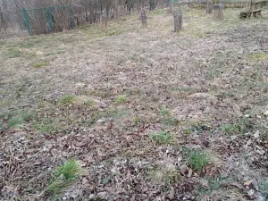 Pronájem zahrady, Dětkovice, 581 m2