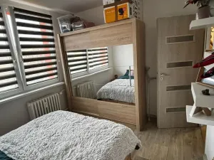 Prodej bytu 3+kk, Bílina - Teplické Předměstí, Čapkova, 55 m2