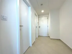 Pronájem bytu 2+kk, Praha - Žižkov, Jana Želivského, 62 m2