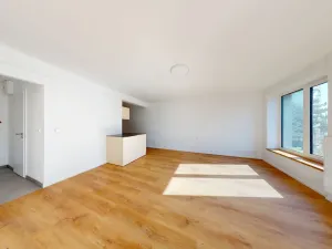 Pronájem bytu 1+kk, Ostrava - Moravská Ostrava, Sadová, 30 m2