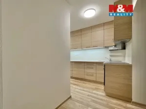 Prodej činžovního domu, Ostrava - Mariánské Hory, Daliborova, 150 m2