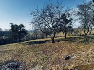 Prodej pozemku pro bydlení, Vítonice, 3362 m2