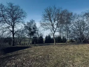 Prodej pozemku pro bydlení, Vítonice, 3362 m2