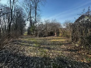 Prodej pozemku pro bydlení, Vítonice, 3362 m2