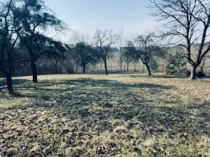 Prodej pozemku pro bydlení, Vítonice, 3362 m2