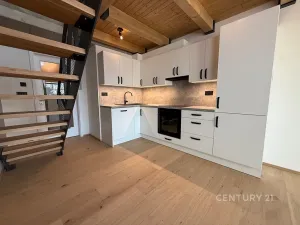 Pronájem bytu 3+kk, Praha - Vysočany, Kolbenova, 80 m2