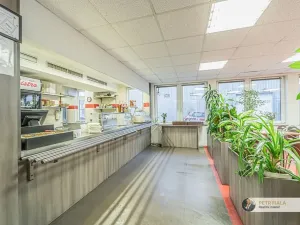 Pronájem kanceláře, Praha - Dolní Chabry, Dopraváků, 240 m2