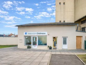 Pronájem ordinace, Mnichovo Hradiště, Masarykovo náměstí, 57 m2