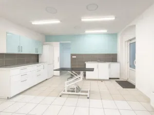 Pronájem ordinace, Mnichovo Hradiště, Masarykovo náměstí, 57 m2