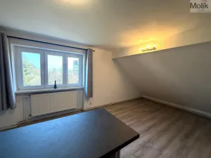 Pronájem bytu 3+1, Most, Vinohradská, 100 m2