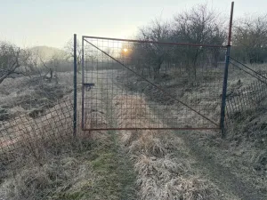 Prodej zahrady, Litoměřice - Předměstí, Veveří, 3183 m2