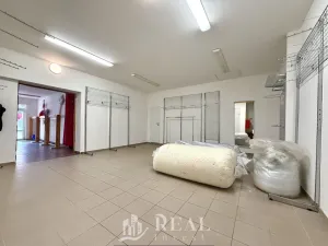 Prodej rodinného domu, Skršín, 524 m2