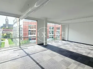 Pronájem kanceláře, Praha, Křižíkova, 870 m2