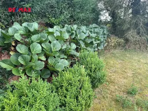 Prodej chalupy, Mlečice, 90 m2