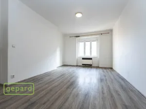 Pronájem bytu 1+1, Praha, Pod Drinopolem, 53 m2