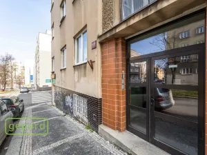 Pronájem bytu 1+1, Praha, Pod Drinopolem, 53 m2