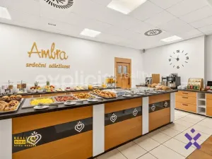 Prodej bytu 2+1, Luhačovice, Solné, 83 m2