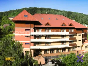 Prodej bytu 2+1, Luhačovice, Solné, 83 m2