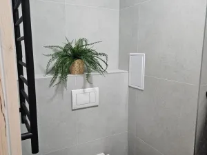 Pronájem bytu 2+kk, Plzeň, Lobezská, 46 m2