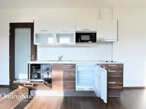 Pronájem bytu 1+kk, Praha - Jinonice, Barvitiova, 38 m2