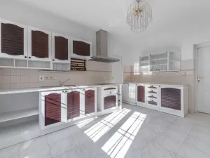 Prodej rodinného domu, Družec, V Zátiší, 289 m2