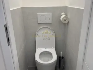 Prodej bytu 2+kk, Praha - Horní Počernice, Běchorská, 51 m2