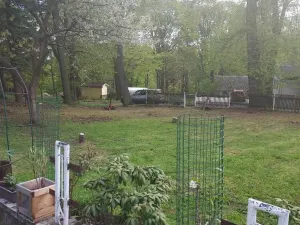 Prodej zahrady, Místo, 454 m2