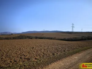 Prodej pole, Veverská Bítýška, 29059 m2