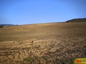 Prodej pole, Veverská Bítýška, 29059 m2