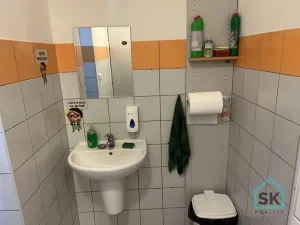 Pronájem restaurace, Město Albrechtice, Míru, 100 m2