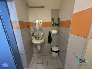 Pronájem restaurace, Město Albrechtice, Míru, 100 m2