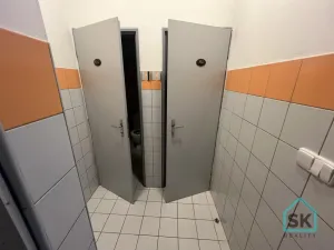 Pronájem restaurace, Město Albrechtice, Míru, 100 m2