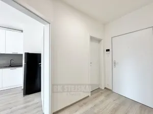 Pronájem bytu 1+kk, České Budějovice - České Budějovice 2, Na Zlaté stoce, 28 m2