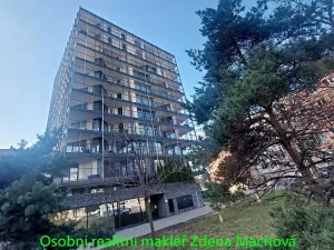 Pronájem bytu 1+kk, Praha - Žižkov, 38 m2