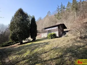Prodej chaty, Borač, 50 m2