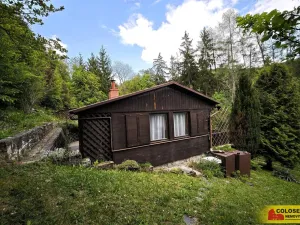 Prodej chaty, Borač, 50 m2