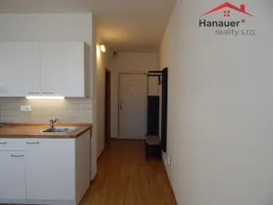 Pronájem bytu 1+1, Ústí nad Labem - Neštěmice, Sibiřská, 36 m2